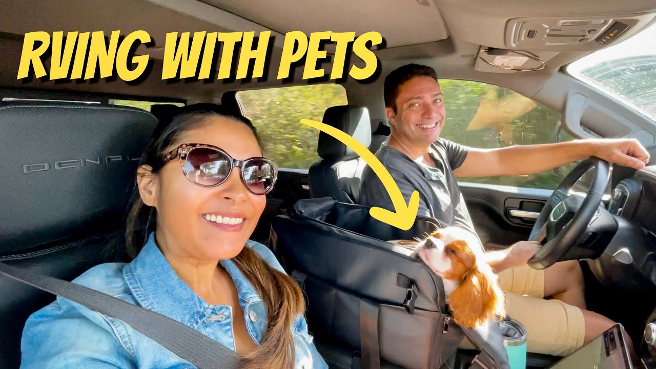 RVing with dogs - Our first ROAD TRIP with our new furry son  ✨RV LIFE EP162