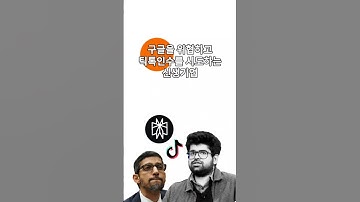 구글을 위협하고 틱톡까지 인수를 시도하는 신생기업 퍼플렉시티