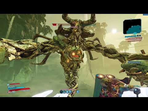 Borderlands 3 - Hellwalker vs Graveward