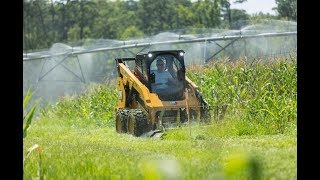 Cat® Skid Steer Loader D3 Series | Features and Benefits