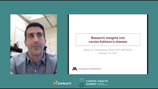 Research Progress on Canine Addison’s Disease by Dr. Steven Friedenberg