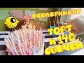 Lemonade TV - ЭКСПЕРИМЕНТ 140 Свечей в Торте. Лимонад ТВ