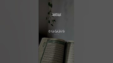 تلاوه جميله للشيخ ماهر المعيقلي ☪️🕋 #المصحف #الرحمن #دويتو #القزابري #اكسبلور #راحة_نفسية