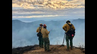E-1 Bird Dog:  First Engine on the McCash Fire