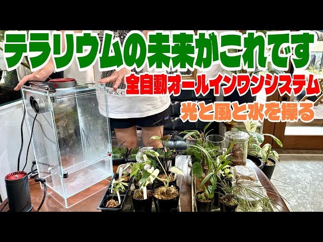 A fully automated, all-in-one system! This is the paludarium of
