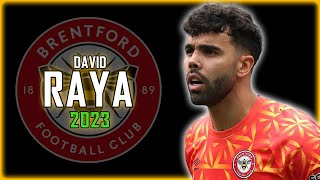 David Raya 2023 ● Brentford ► Full Season Show