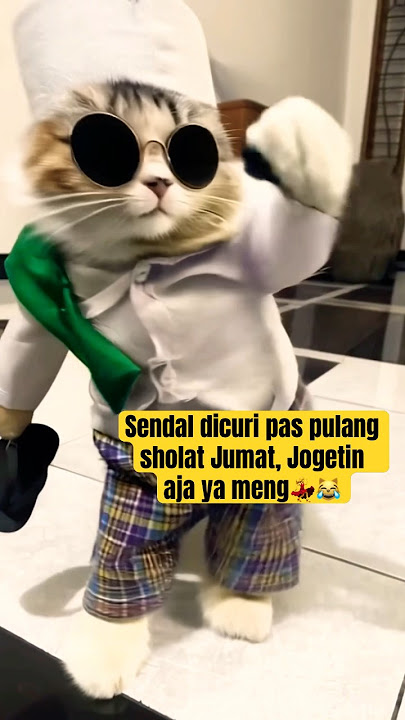Kucing Joget Lucu Pakai Baju Koko Muslim, Sendal Hilang Sebelah #kucinglucu #videokucing #videolucu