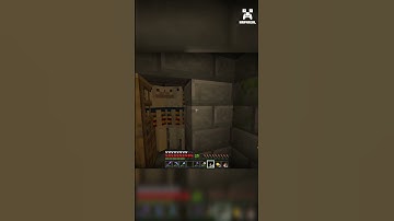 Wandering trader inside Stronghold | minecraft wandering trader meme #minecraft #shorts