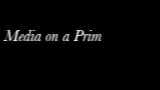 Media On A Prim - Second Life 2.0 ®©™
