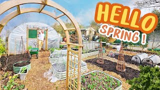 Amazing Allotment Transformation | No Dig | Spring Gardening