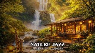 Forest View Living Room Jazz | Tranquil Jazz Music & Nature Therapy For Focus & Study