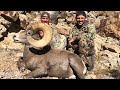 "FULL CIRCLE" - A Nevada Desert Bighorn Sheep Hunt