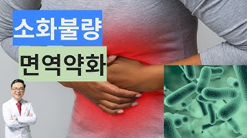 만성적인 소화불량이 면역 약화로 진행될 때 나타나는 4가지 증상과 대처법