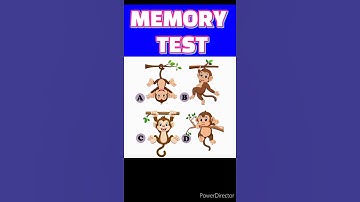 MEMORY TEST 21 - Riddles and Puzzles for IQ Test | Hindi Paheli #shorts #shortvideo #viral