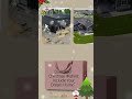 What's your Christmas wish this year?