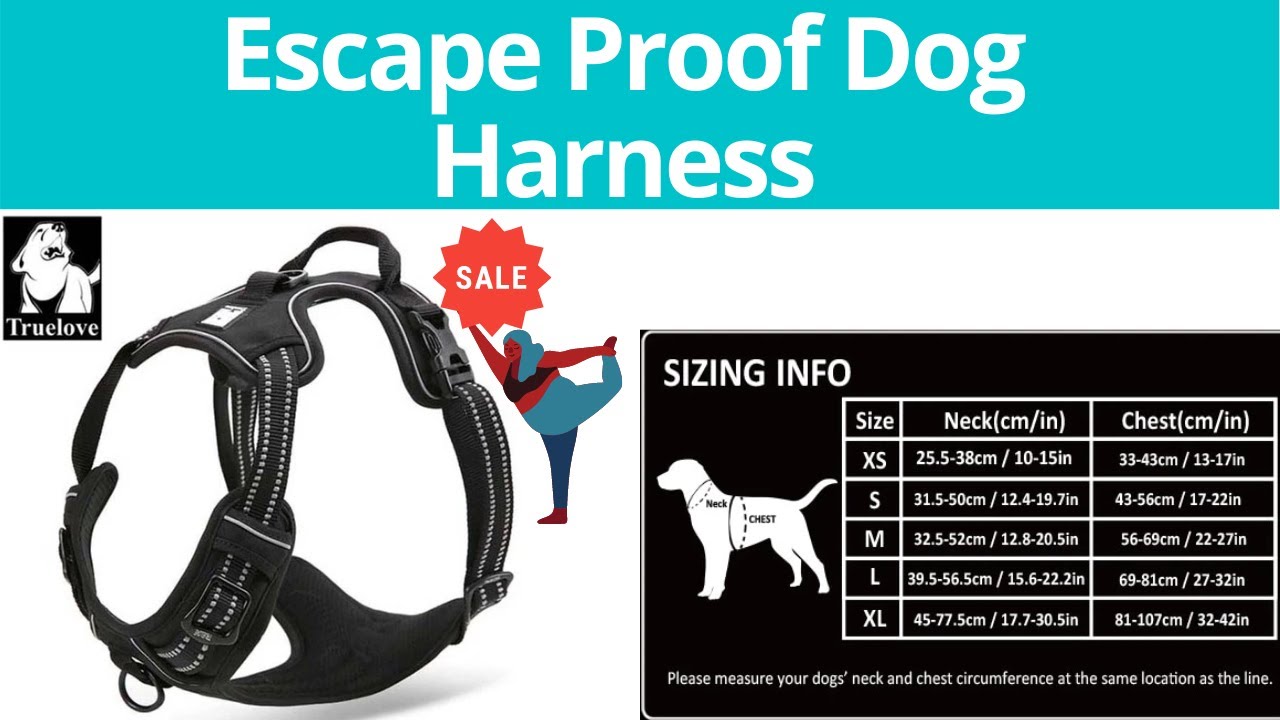 escape proof harness