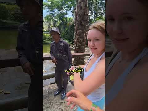 قالت إننا نبدو مثل هذه القرود علاقات مضحكة بالي