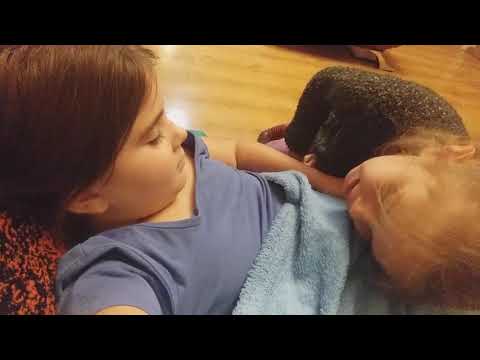 ნინის გაცინება