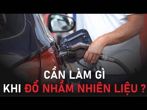 Video: Sử dụng bao nhiêu nhiên liệu chạy không tải?