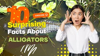 10 Surprising Alligator Facts: Evolution, Communication, And Survival Tactics | Infinite Wisdom Hub