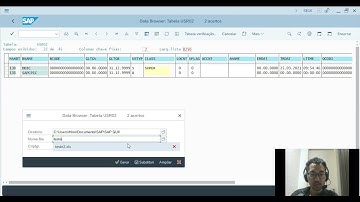 Como exportar dados da tabela do SAP para uma planilha?