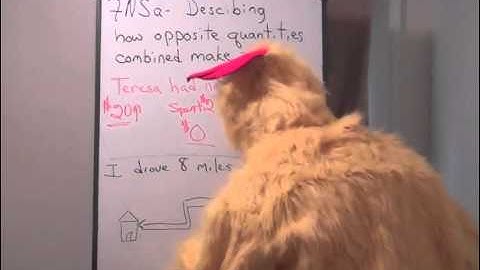 Describing How Opposite Quantities Combined make Zero