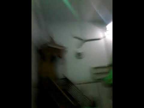 المحلة الكبري منشية البكري مسجد الرحمن