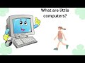 What are little Computers