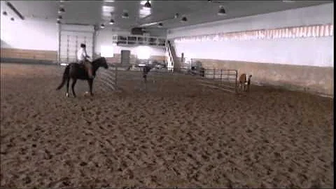 LD Dudes Kool Minnie "Raya" Arena/cattle work