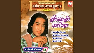 สายัณห์คอยแฟน