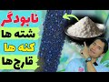 با این کار ساده تمام شته ها کنه ها و قارچها را نابود کردم کاملآ طبيعي و رایگان با این کار ساده تمام شته ها کنه ها و قارچها را نابود کردم کاملآ طبيعي و رایگان