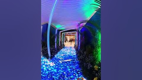 Interactive LED FLoor Screen