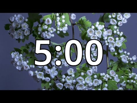 5 Minutes Timer with Music | Spring Timer