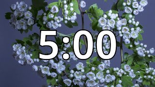 5 Minutes Timer with Music | Spring Timer