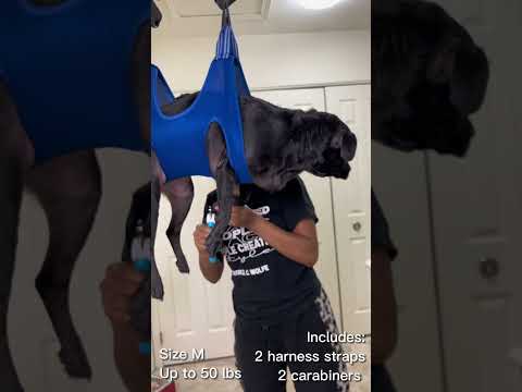 Easily Trim Dogs
