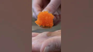 Masago Vs Tobiko 