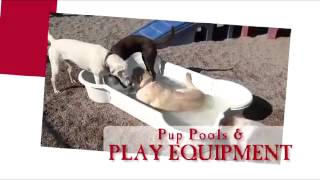 craigslist dallas puppies dallas pets craigslist craigslist dallas puppies dallas pets craigslist