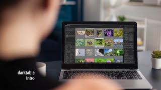 Conheça o darktable. O melhor software para tratamento de fotografias... screenshot 5