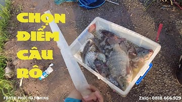 CÁCH MÌNH CHỌN ĐIỂM CÂU RÔ PHI DỊCH VỤ - CÂN PHAO CÂU RÔ - THỜI ĐIỂM ĐÁNH RÔ HỢP LÝ- PHÚC HÀ FISHING