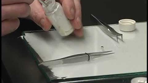 UAF - 2007 - Stable Isotope Research