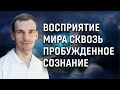 Вся наша жизнь соткана только для того, чтобы вести нас по пути эволюции и роста