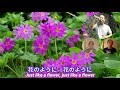 花 (A flower)/中 孝介(Kousuke Atari)【歌ってみた】日英歌詞English Lyrics★アラ還のチャレンジ★ひとりテレワーク