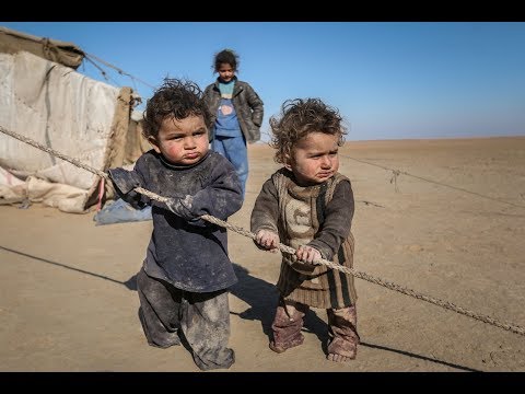 ZOOM. Сирийский мир: каким он будет