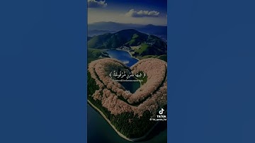 استمع لسورة|الغاشية💓 قراءة تقشعر لها الابدان القارئ عبد الرحمن مسعد