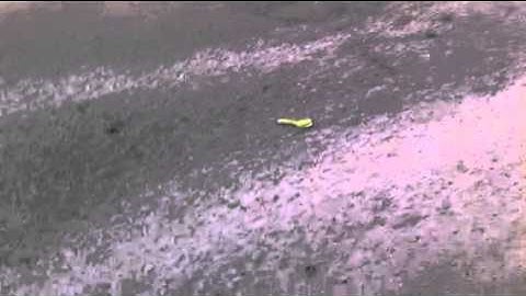 Hpi e-firestorm failed to jump