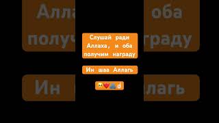 Сура аль-Фатиха #коран #solih #quran #surafatiha #сура #salimbahanan #Аллах #shorts