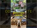 Odisha State Museum in Bhubaneswar.#OdishaStateMuseum #BhubaneswarMuseum #BhubaneswarTouristPlaces