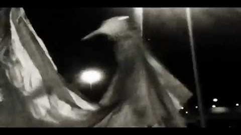 Mayakov+sky Platform + Dusan Chae - The purloined question (towards Plasti-City)