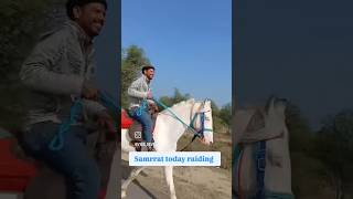 Ye horse rocket se tez daudta hai 😱🔥”👉 #horserunning #speed #viralshorts #explore #trending