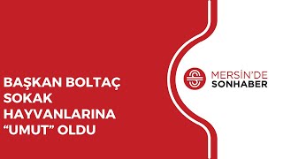 BAŞKAN BOLTAÇ SOKAK HAYVANLARINA “UMUT” OLDU